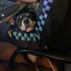 Meet your Posher, Juliette